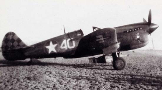 318TH FIS - THE DRAGONS DEN- HISTORY-THE P-40 ERA